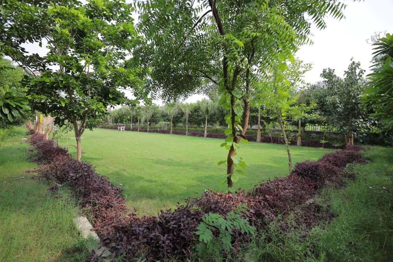 Shakti Homestay *